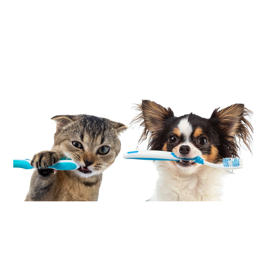 Higiene bucal y dental